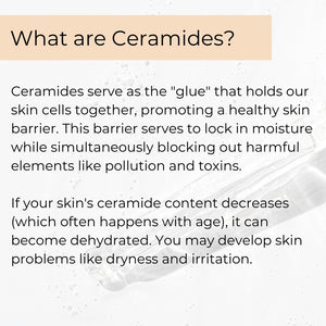 Image explaining the benefits of ceramides for the skin, the holy grail for skin barrier and hydration support. Part of a natural skin care ingredient clean beauty brand with ceramides and lipids to reduce water loss and soothe irritation, leaving skin visibly hydrated and supple.